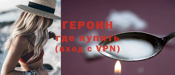 мдпв Гусев