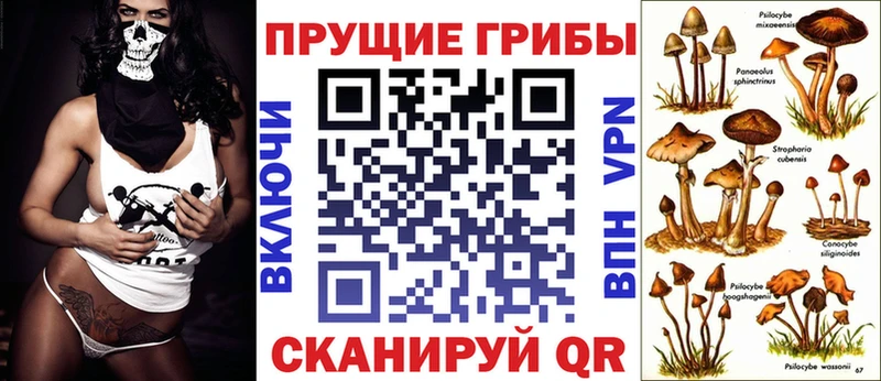 Галлюциногенные грибы Psilocybe  blacksprut tor  Печора  продажа наркотиков 